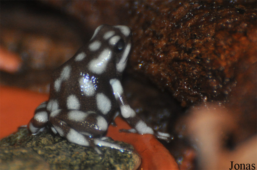 Thüringer Zoopark Erfurt