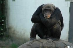 Olmense Zoo