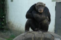 Olmense Zoo
