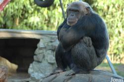 Olmense Zoo