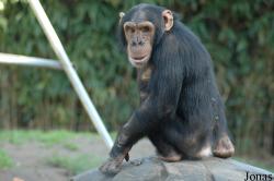 Olmense Zoo