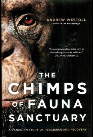 <strong>The Chimps of Fauna Sanctuary</strong>, A Canadian story of resilience and recovery, Andrew Westoll, HarperCollins Publishers Ltd, Toronto, 2011