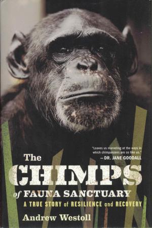 <strong>The Chimps of Fauna Sanctuary</strong>, A true story of resilience and recovery, Andrew Westoll, Houghton Mifflin Harcourt, Boston, New York, 2011