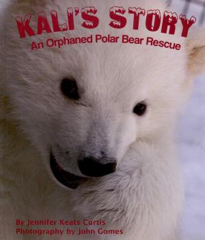 <strong>Kali's Story, An Orphaned Polar Bear Rescue</strong>, Jennifer Keats Curtis, 2015