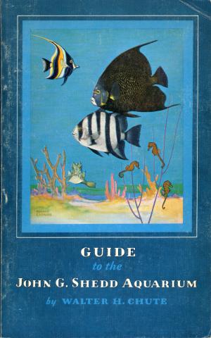 Guide 1968