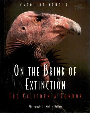 <strong>On the Brink of Extinction, The California Condor</strong>, Caroline Arnold, Harcourt Brace & Company, San Diego, New York, London, 1993
