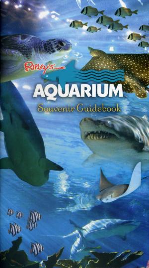 Guide 2003