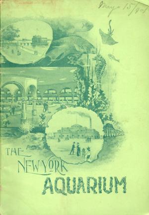 Guide 1900