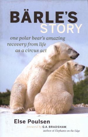 <strong>Bärle's Story</strong>, One polar bear's amazing recovery from life as a circus act, Else Poulsen, Greystone Books, Vancouver, Berkeley, 2014