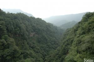 Gorges de Bifengxia