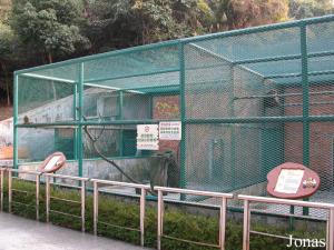 Cages du saimiri écureuil et du macaque du Tibet