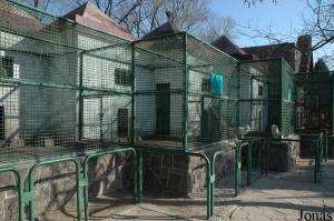 Cages des petits mammifères et des chiens