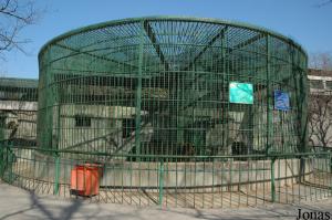 Cages des ours