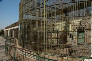 Cages des panthères