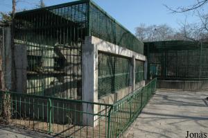 Cages des panthères et des ours