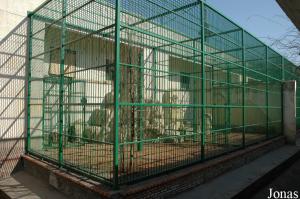 Cages extérieures des grands singes