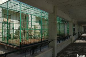 Cages extérieures des grands singes