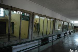 Cages intérieures des babouins et des macaques
