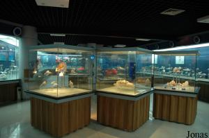 Marine Creatures Exhibition Hall