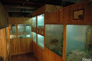 Terrariums et paludariums pour tortues aquatiques et terrestres