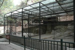 Cages des capucins