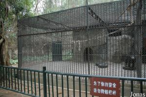 Une des cages des chimpanzés