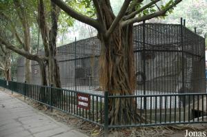 Cages des chimpanzés