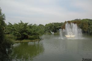 Second plan d'eau du Safari Park Shenzhen