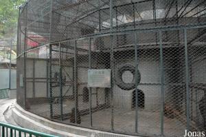 Cages pour macaques rhésus, crabiers et bruns