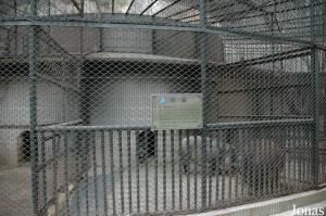 Cage des sangliers