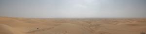 Paysage de la Dubai Desert Conservation Reserve