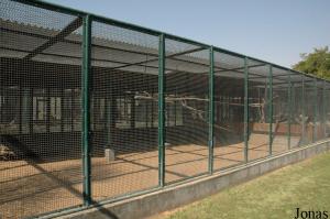 Cage pour oiseaux et petits mammifères