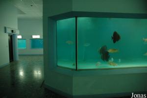 Marine Research Centre and Aquarium d'Umm Al Quwain