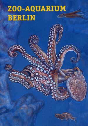 Guide Aquarium - 2013