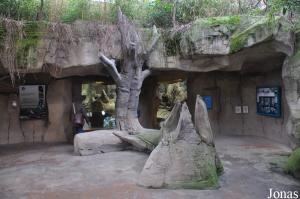 Place d'entrée et vue sur le bâtiment des chimpanzés