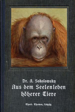 <strong>Aus dem Seelenleben höherer Tiere</strong>, Dr Alexander Sokolowsky, Theod. Thomas, Leipzig, 1910