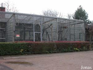 Cages extérieures de la maison des singes