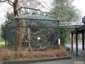 Cage extérieure des tamarins pinchés