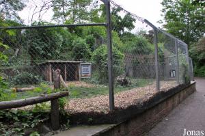 Un des trois enclos des guépards