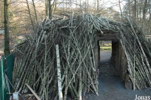 Reconstitution d'une hutte pour castors