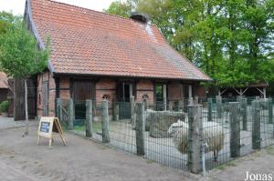 Ferme pédagogique