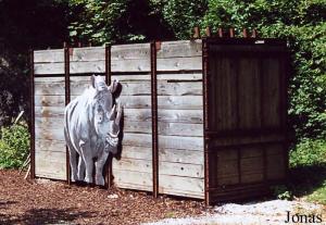 Caisse de transport pour rhinocéros