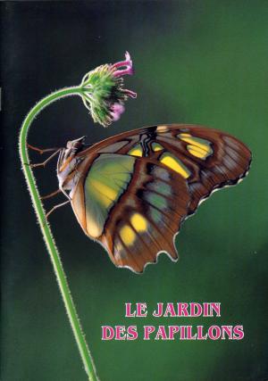 Guide env. 1990 - Edition française