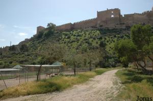 Enclos pour gazelles de Cuvier  et forteresse L'Alcazaba