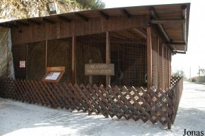 Cage des babouins