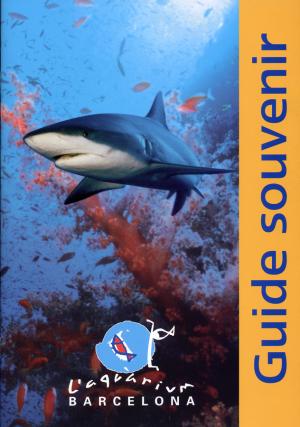 Guide 2006 - Edition française