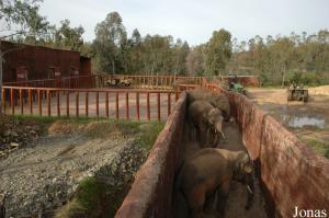 Passage reliant le bâtiment des éléphants à leur enclos