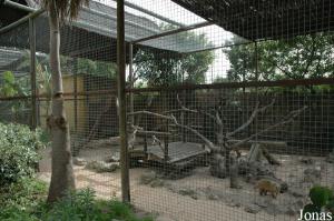 Cage des coatis