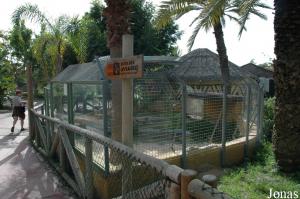 Enclos du crocodile du Nil