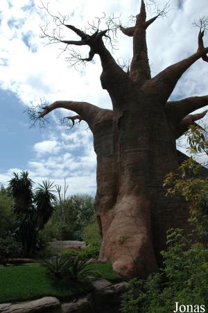 Baobab artificiel